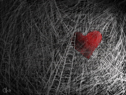 3d обои Красное сердце в паутине  сердечки