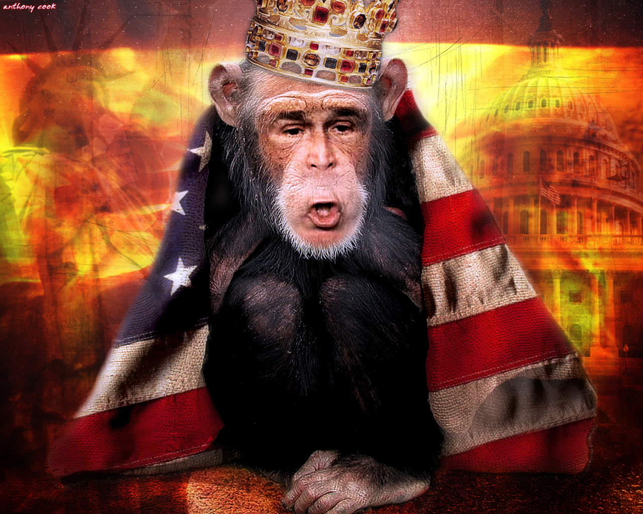 3d обои Обезьяна, закутанная во флаг Америки и с лицом Буша (anthony cook)  обезьяны # 67909