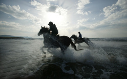 3d обои Два всадника скачут на своих конях по морю  лошади
