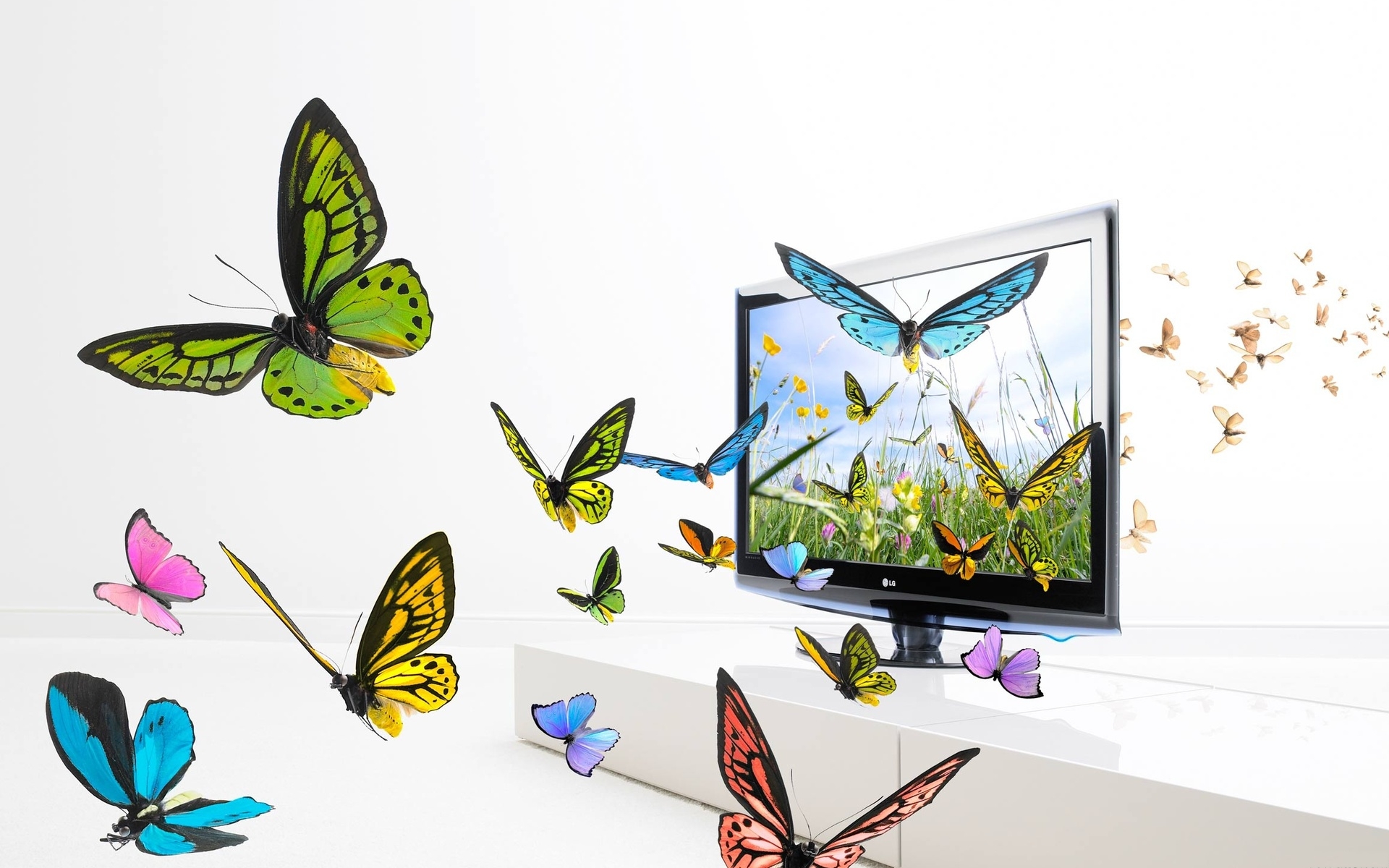 3d обои Плоский телевизор LG с зD технологией, из которого вырываются бабочки  бабочки # 20778