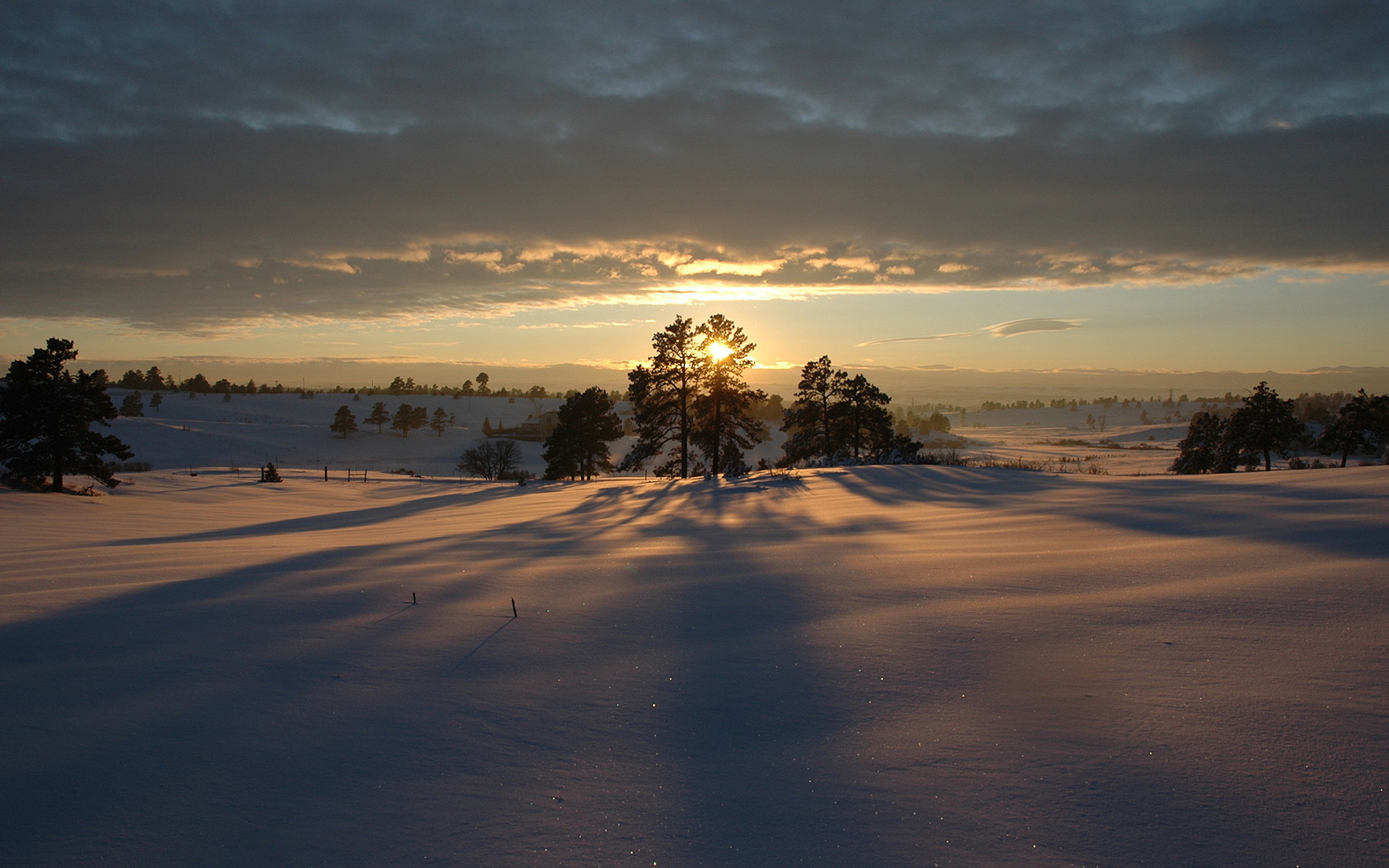 3d обои Сквозь деревья видно солнце.. смеркается  снег # 80706