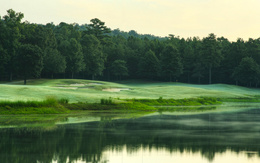 3d обои Поле для гольфа у водоема на фоне смешанного леса  спорт
