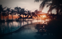 3d обои Пальмы вокруг бассейна отеля и деревянные шезлонги  солнце