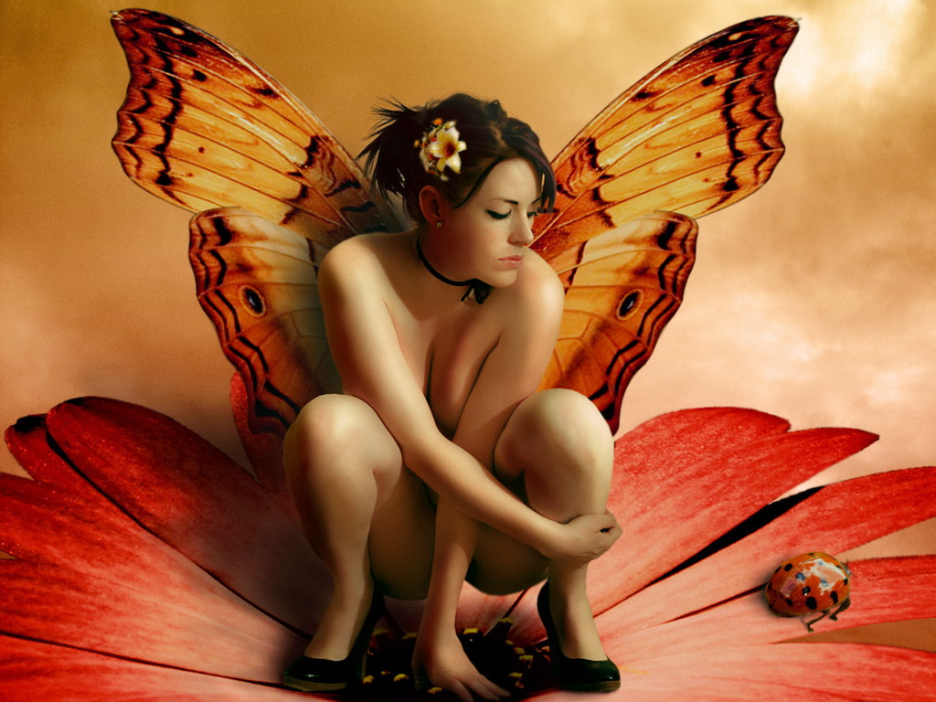 3d обои Девушка-бабочка на цветке с божьей коровкой  бабочки # 20764