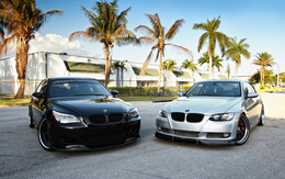 3d обои Черная и серебряная тюниногованные BMW на фоне пальм  авто