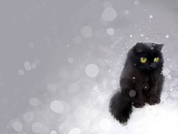 3d обои Черный кот в снегу  снег
