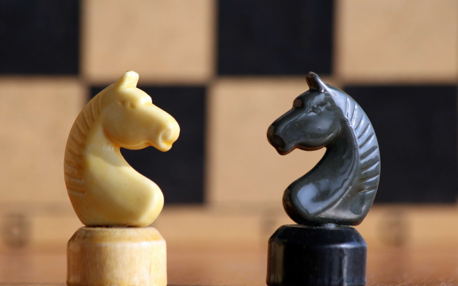 3d обои Черный и белый шахматные кони  игры # 41697
