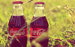 3d обои Две бутылки Coca-Cola в траве  бренд