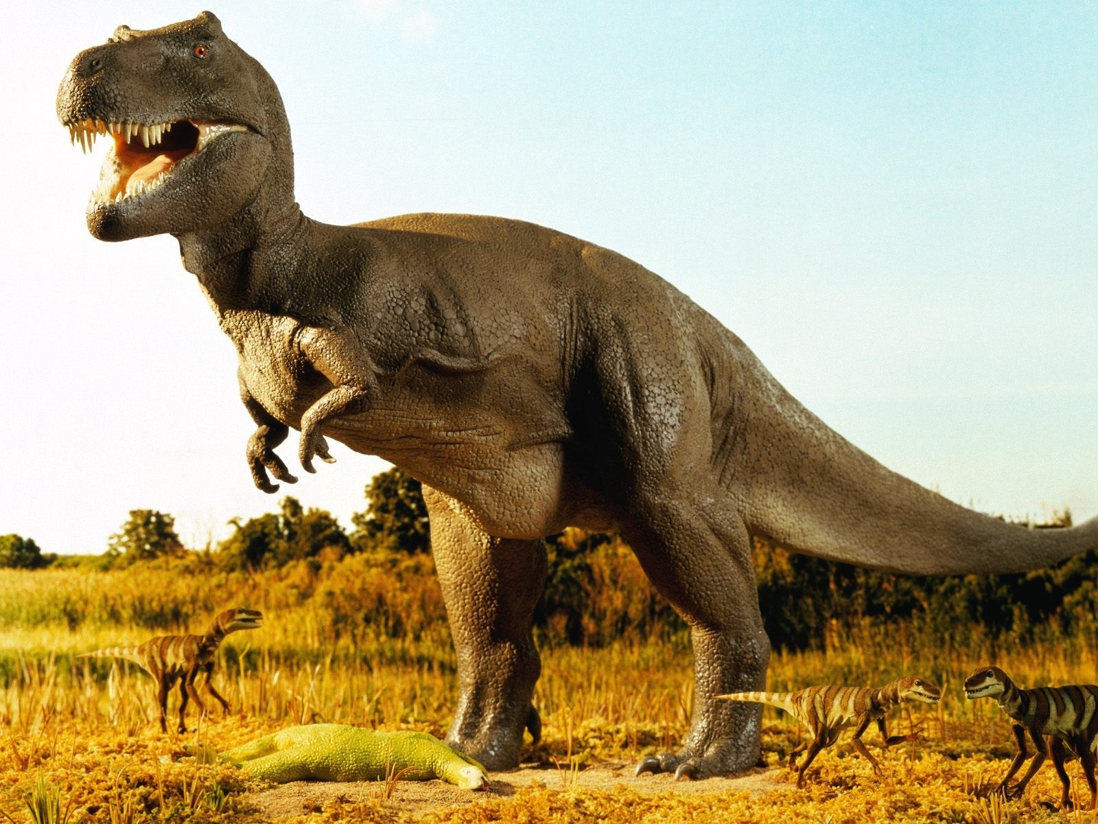 3d обои Большой и маленькие динозавры делят добычу  динозавры # 34250