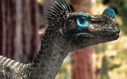 3d обои Голова молодого динозавра с синим наростом на носу  1280х800
