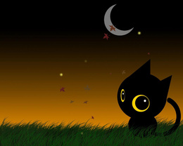3d обои Чёрныё кот под луной  луна
