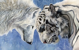 3d обои Белый волк с белым тигром  зима
