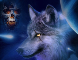 3d обои Волк-оборотень  волки