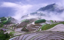 3d обои Рисовые плантации в утреннем тумане, Longsheng, Гуанси, Китай  горы