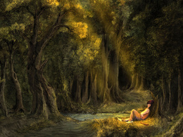 3d обои Девушка отдыхает в лесной чаше  лес