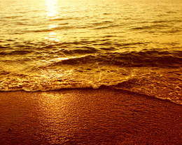 3d обои Мокрый песок на берегу моря искрится и переливается от солнца  солнце