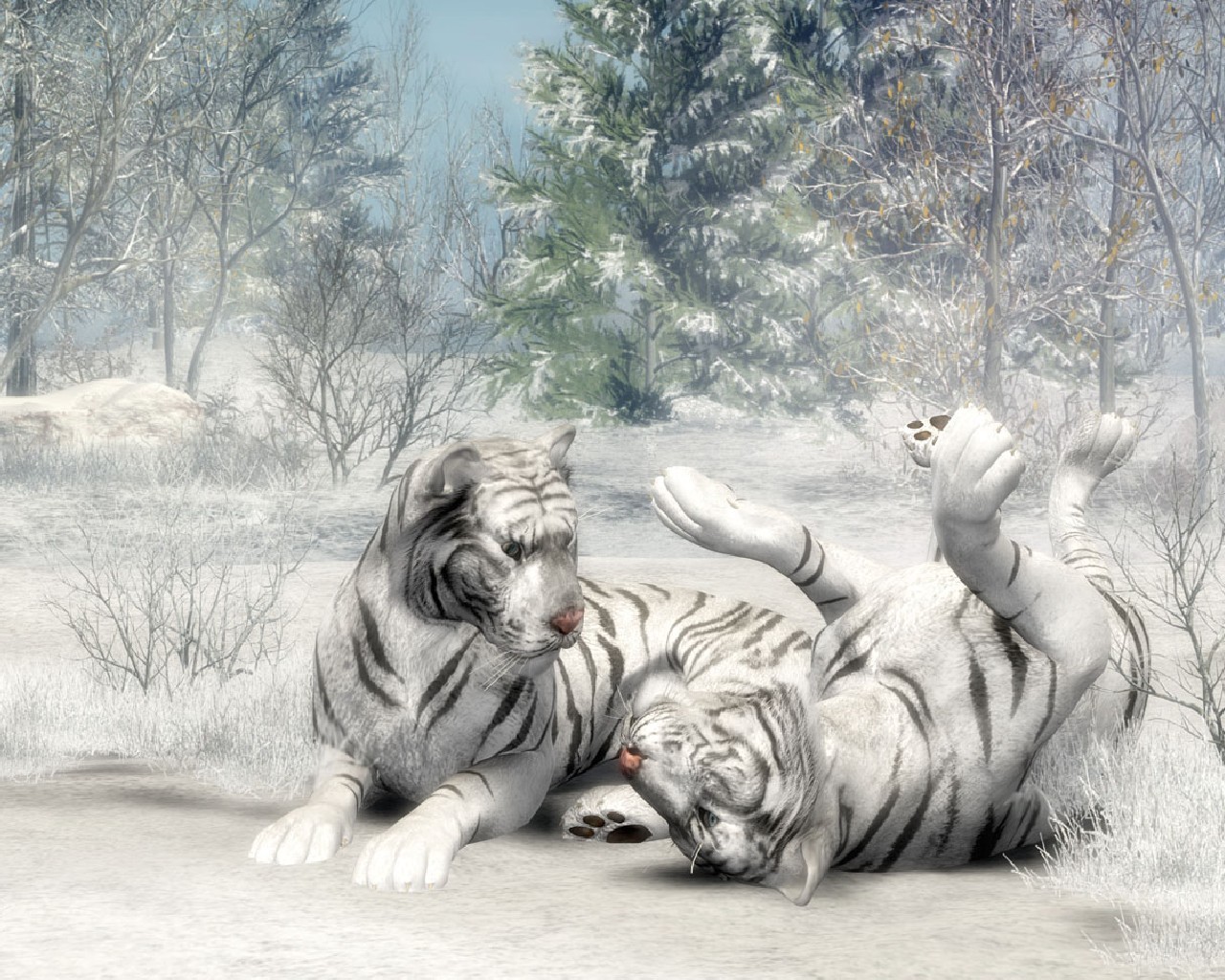 3d обои Белые тигры резвятся в лесу  лес # 49529