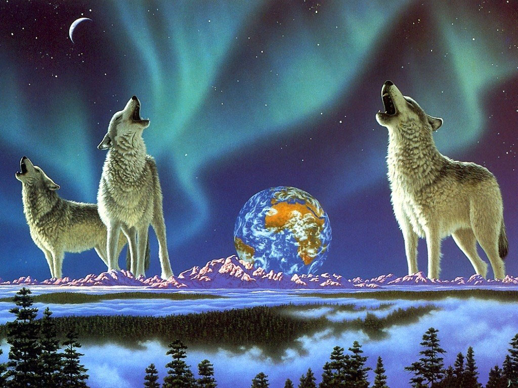 3d обои Волки, воющие на луну на фоне звёздного неба, планеты Земля  луна # 51505