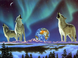 3d обои Волки, воющие на луну на фоне звёздного неба, планеты Земля  луна