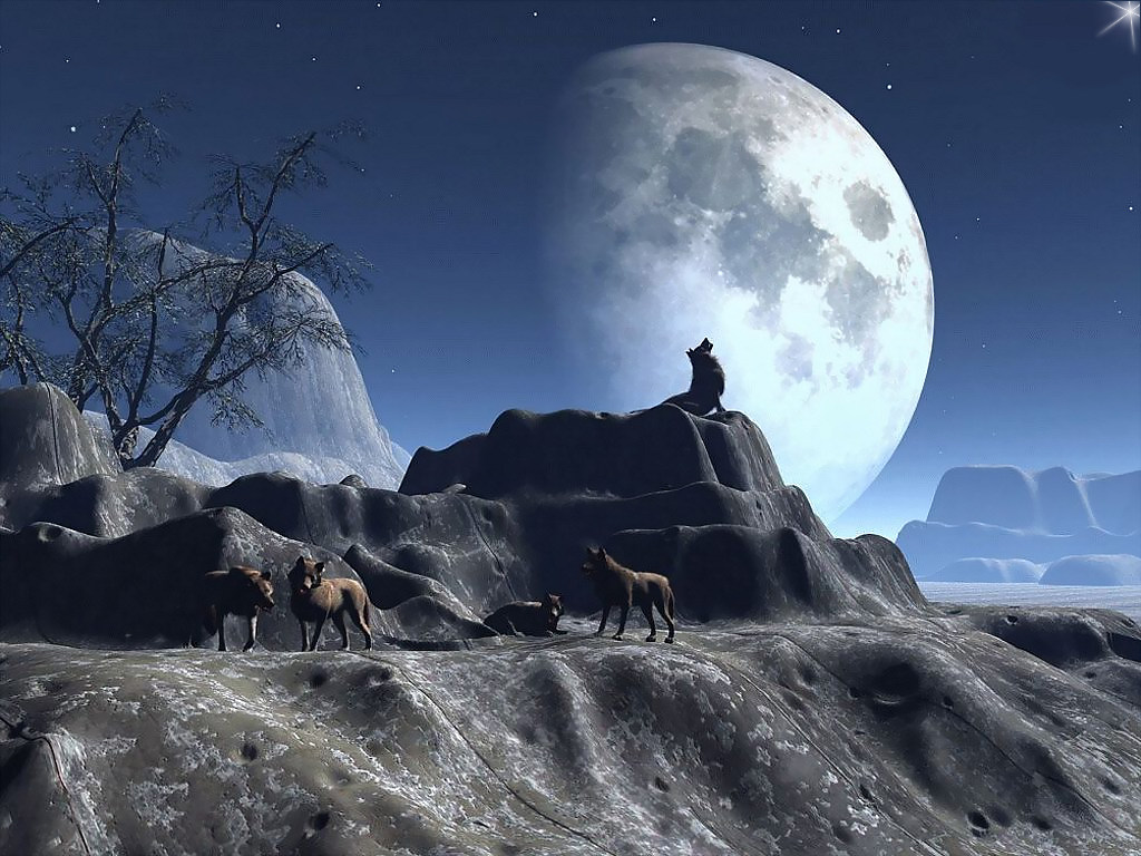 3d обои Лунная ночь. Стая волков расположилась на каменном выступе  1024х768 # 123