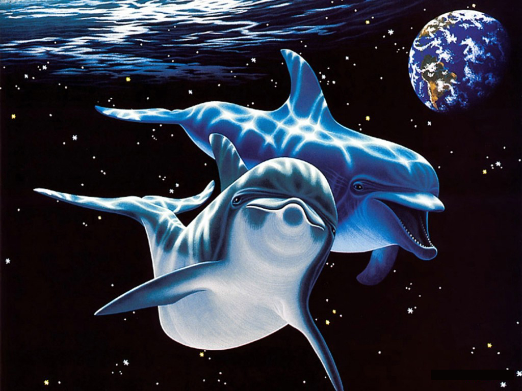 3d обои Дельфины и космос  космос # 45335