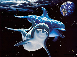 3d обои Дельфины и космос  1024х768
