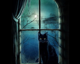 3d обои Кошка ночью у окна  луна