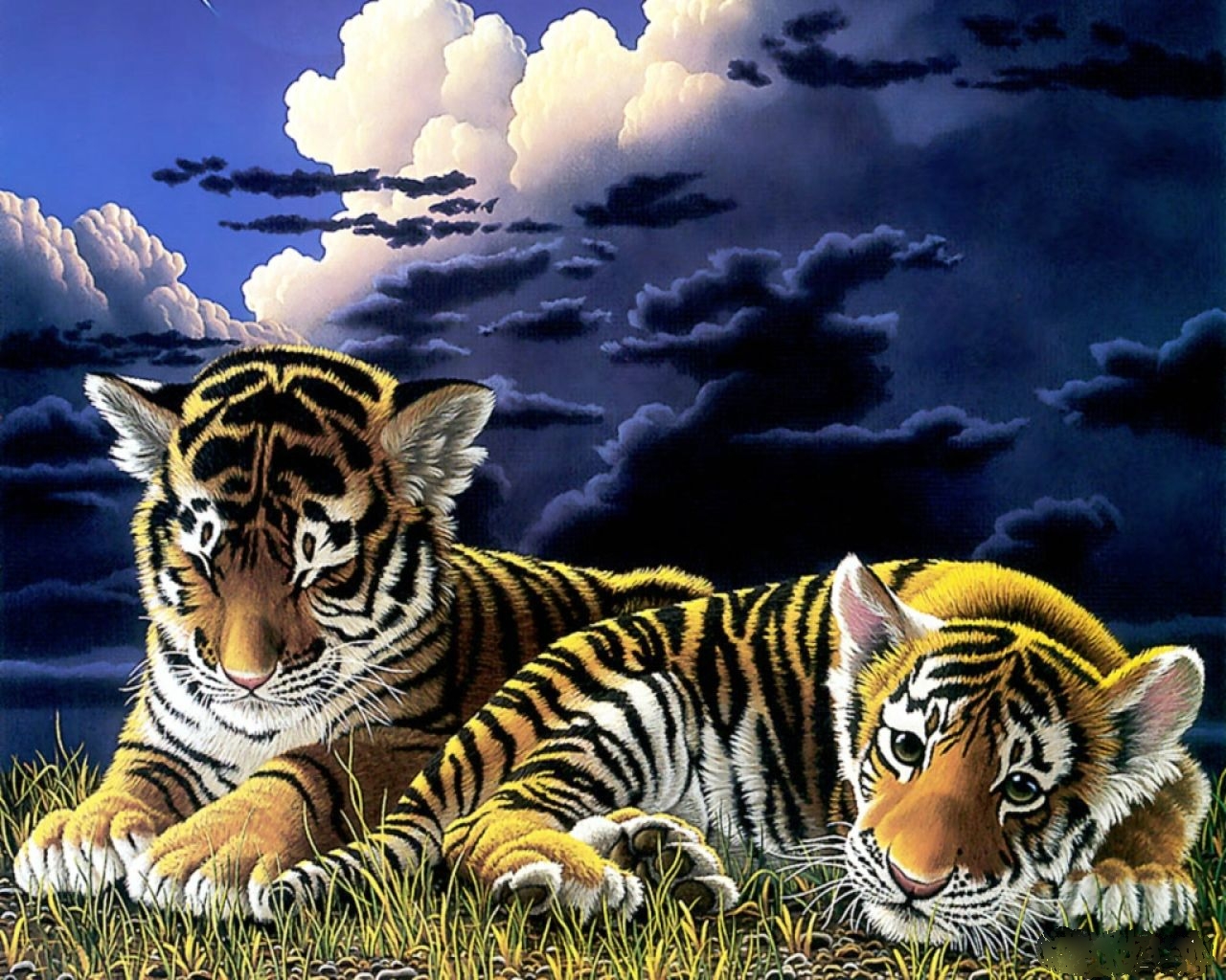 3d обои Тигрята готовятся отойти ко сну  тигры # 83290