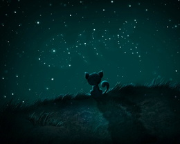 3d обои Маленький котёнок сидит и смотрит на красивое звёздное небо  ночь