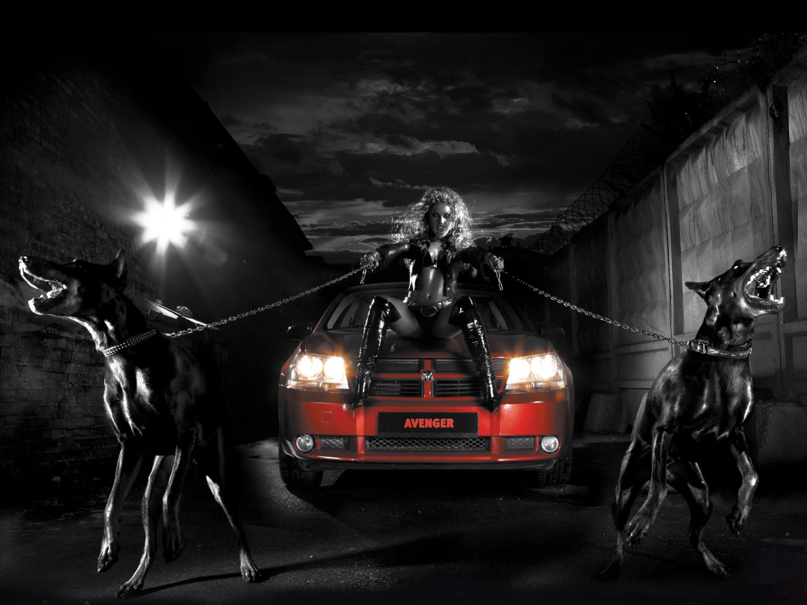 3d обои Красавица на красной машине держит в руках цепи на которых злые доберманы (AVENGER)  собаки # 81300