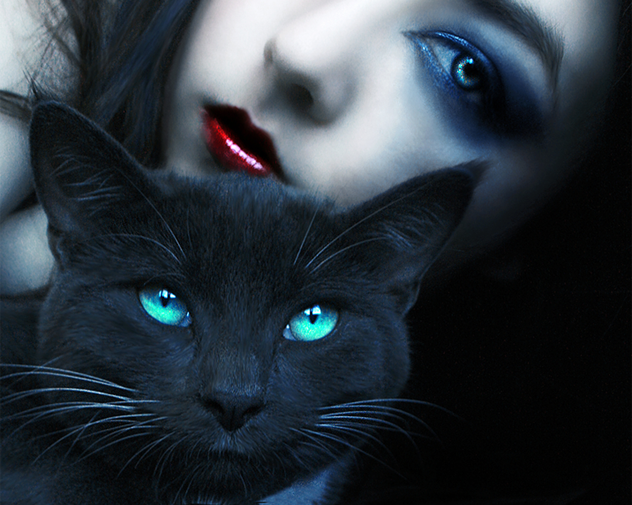 3d обои Девушка с чёрным котом  кошки # 45991