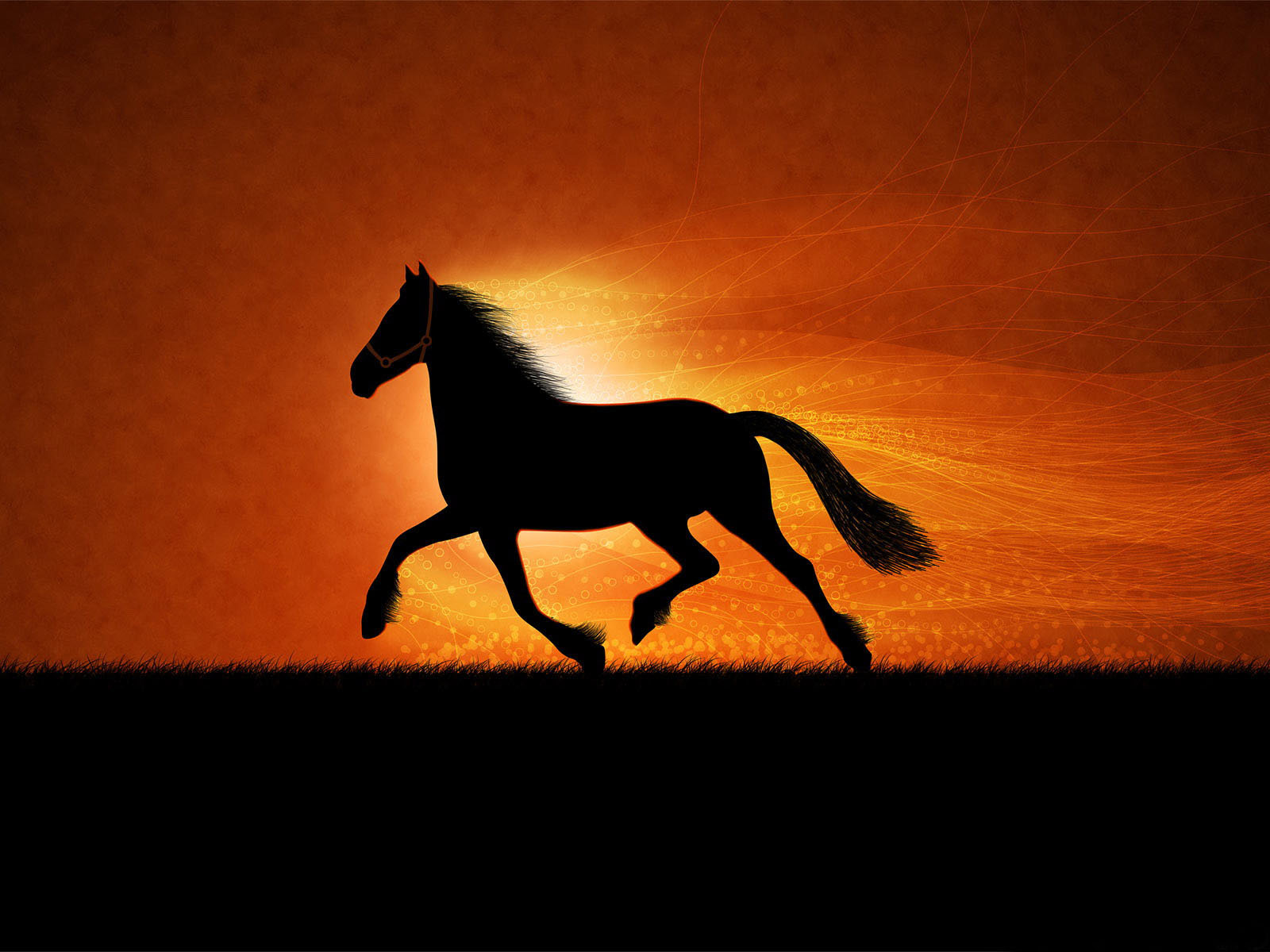 3d обои Бегущий конь на фоне заката  лошади # 51293