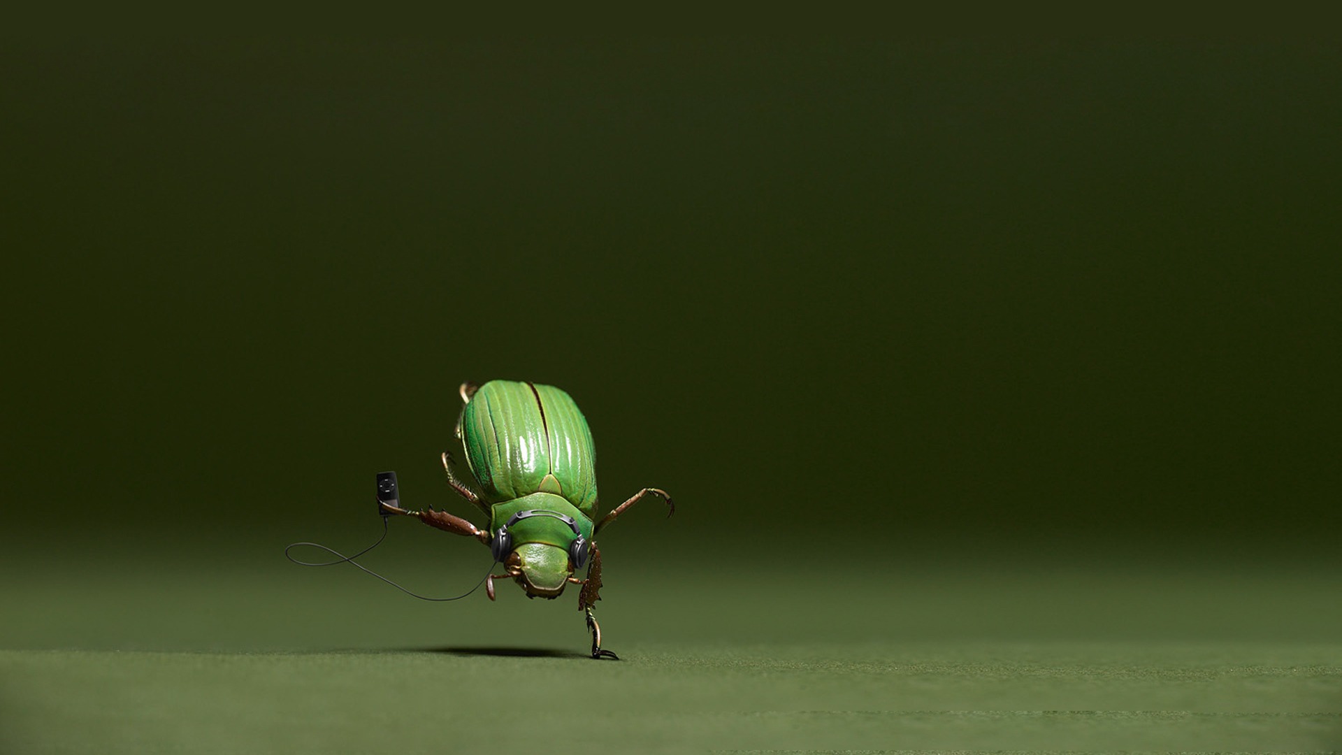 3d обои Танцующий жук  насекомые # 59879