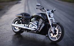 3d обои Harley-Davidson V-Rod Muscle  дороги