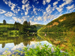 3d обои Озеро в горах среди красивых лесов  цветы