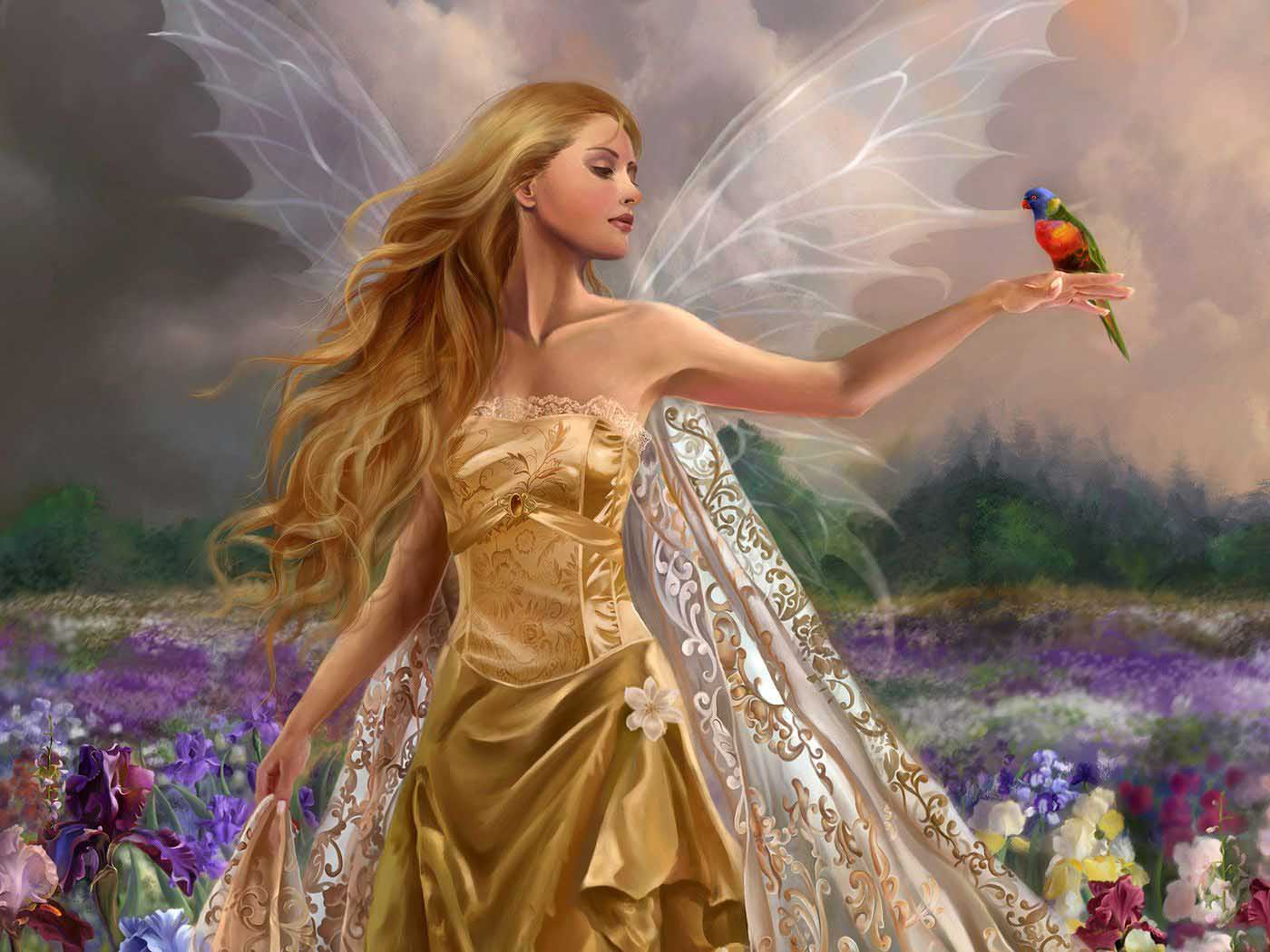 3d обои Фея с попугаем на руке идёт по цветочной поляне  фэнтези # 85194