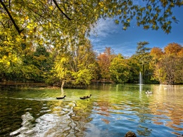 3d обои Красивое озеро с водопадами и гусями  осень