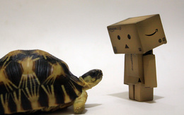 3d обои Человечек из коробки с любопытством смотрит на черепашку  черепахи
