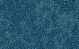 3d обои Голубой леопардовый узор  текстуры
