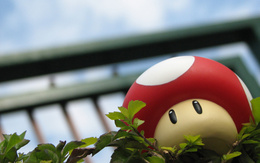 3d обои Настоящий мухомор из серии игр про Марио / Mario  листья