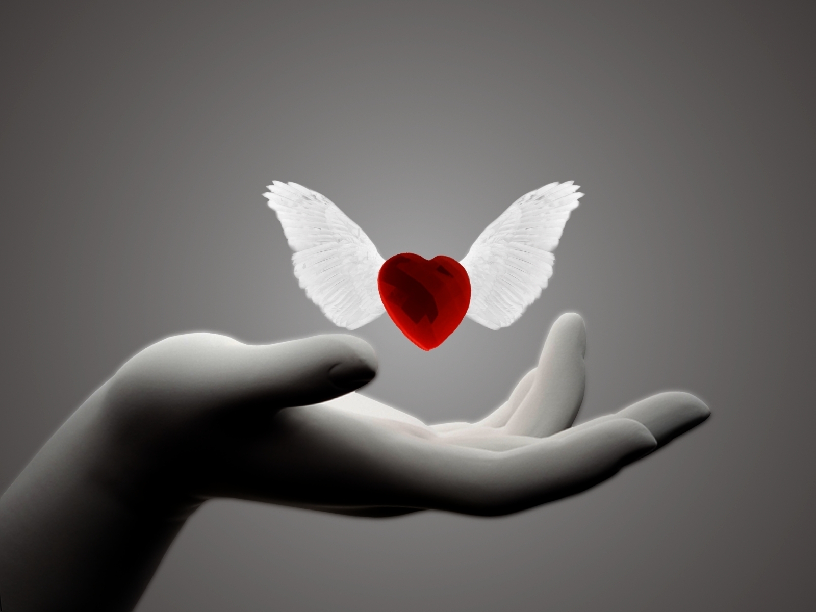 3d обои С руки улетает сердце с крыльями  сердечки # 79809