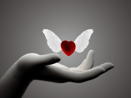 3d обои С руки улетает сердце с крыльями  любовь