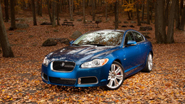 3d обои Синий авто Jaguar XF в осеннем лесу  листья