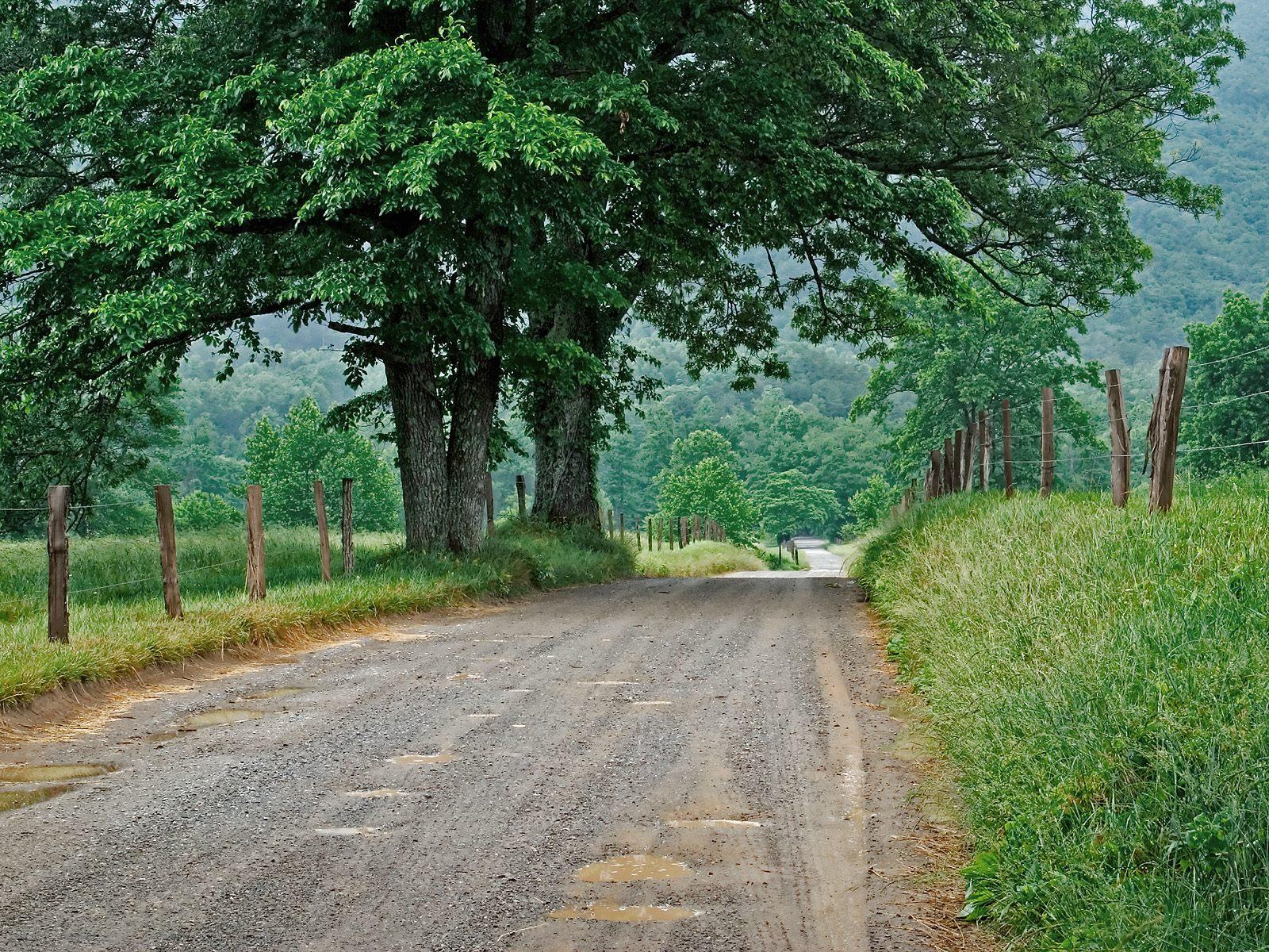 3d обои Дорога в лес  окруженная деревянным забором  дороги # 35603