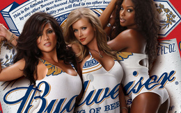 3d обои Девушки рекламируют пиво  Budweiser  реклама