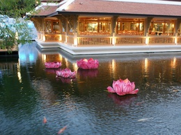 3d обои Ресторан на пруду, в воде плавают цветки лотоса  дома