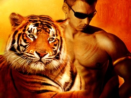 3d обои Тигр и парень  тигры
