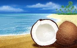 3d обои Рисунок кокоса на морском побережье  море