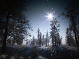 3d обои Зимний лес ночью под звездным небом  2560х1920