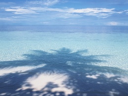 3d обои Берег океана с тенью пальм  море